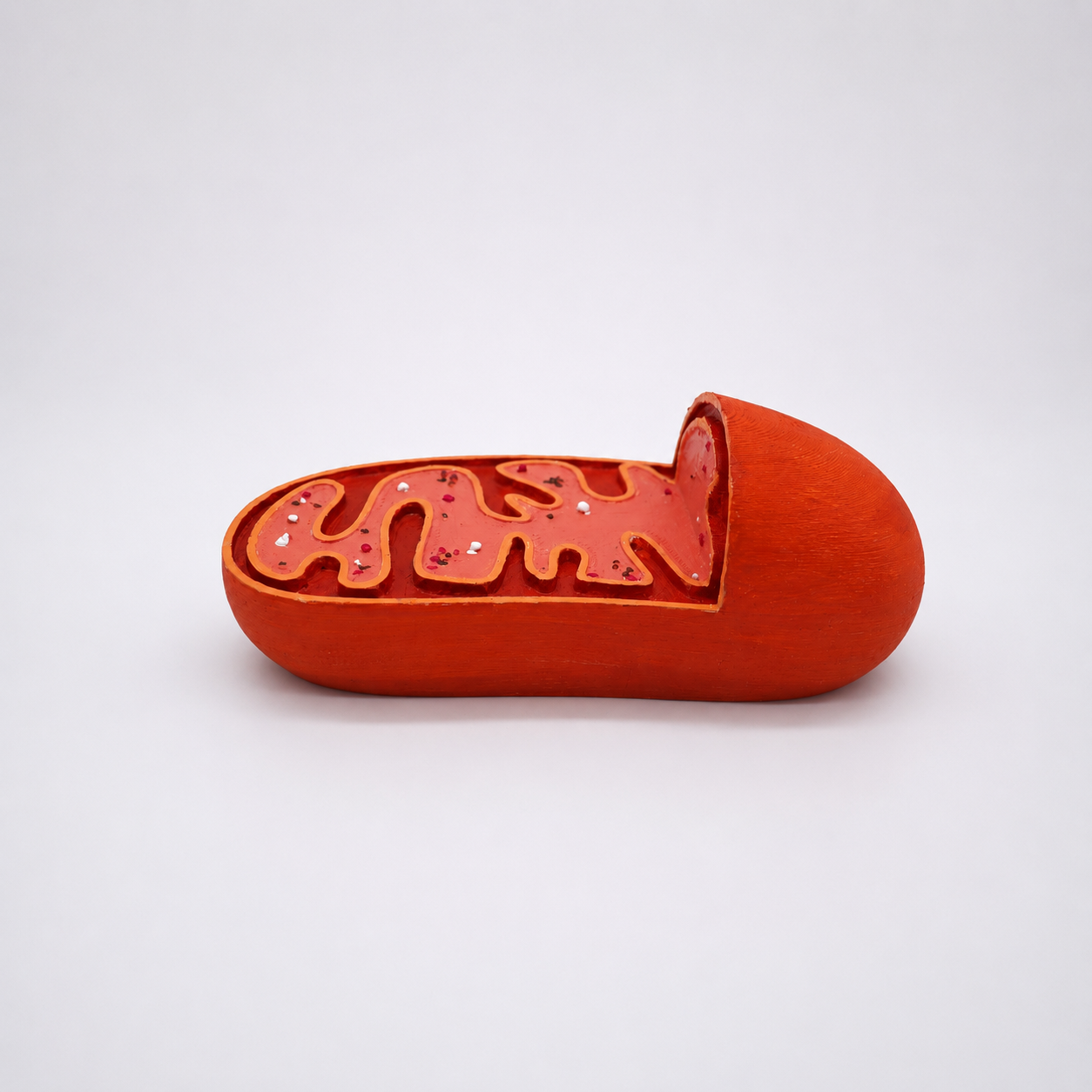 MITOCHONDRIA PAPERWEIGHT
