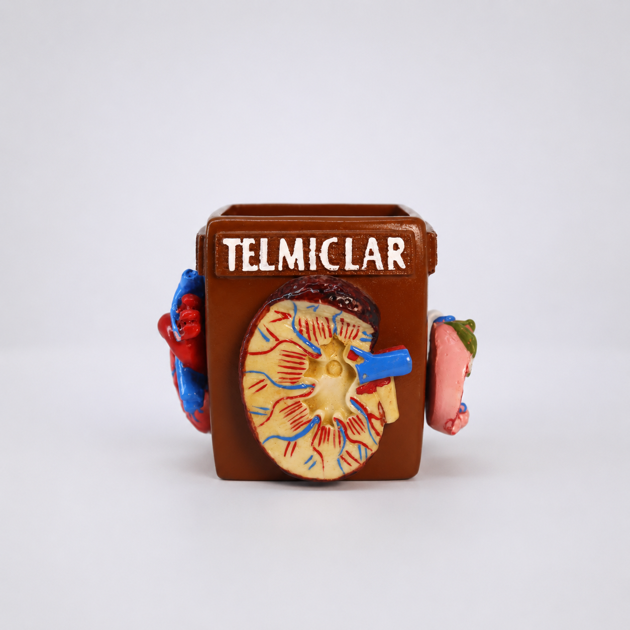 ORGANS AFFECTED BY DIABETES PEN STAND