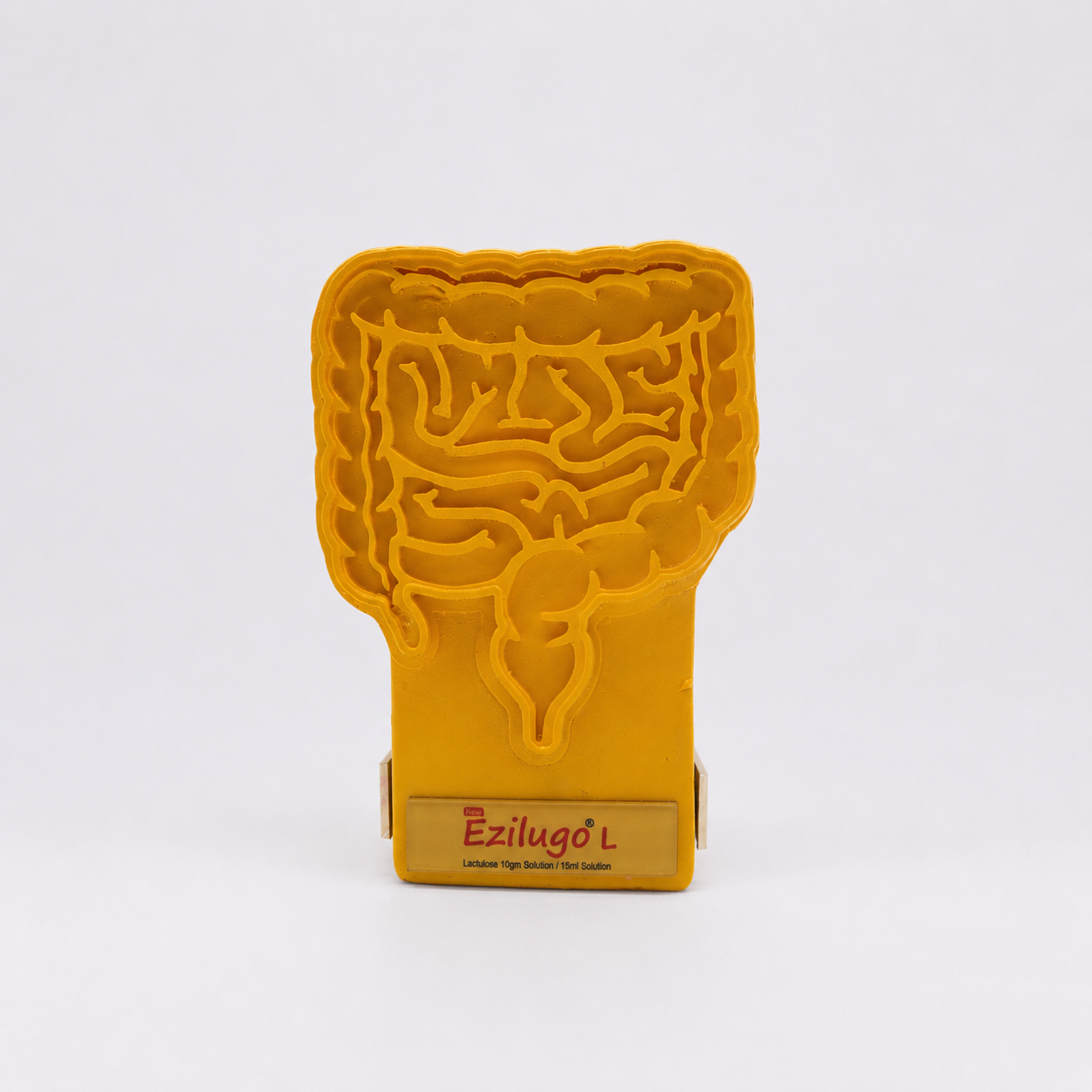 INTESTINE SHAPED PEN STAND