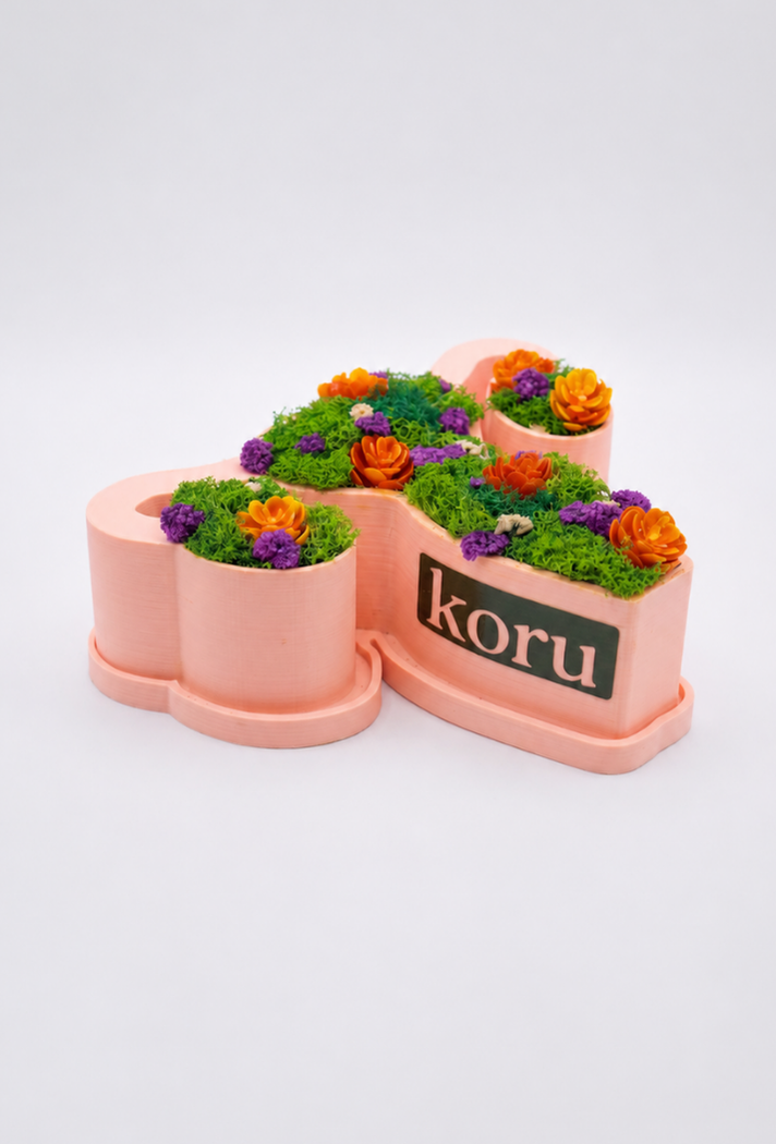 Koru 1