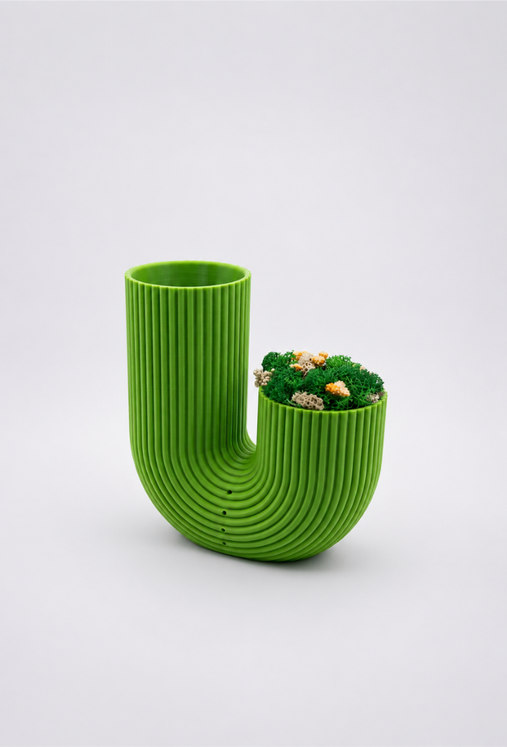 Koru 13